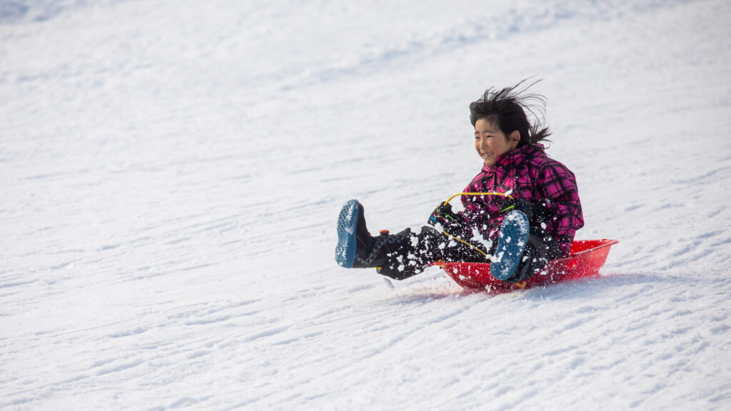 Hakuba Tsugaike Sledding