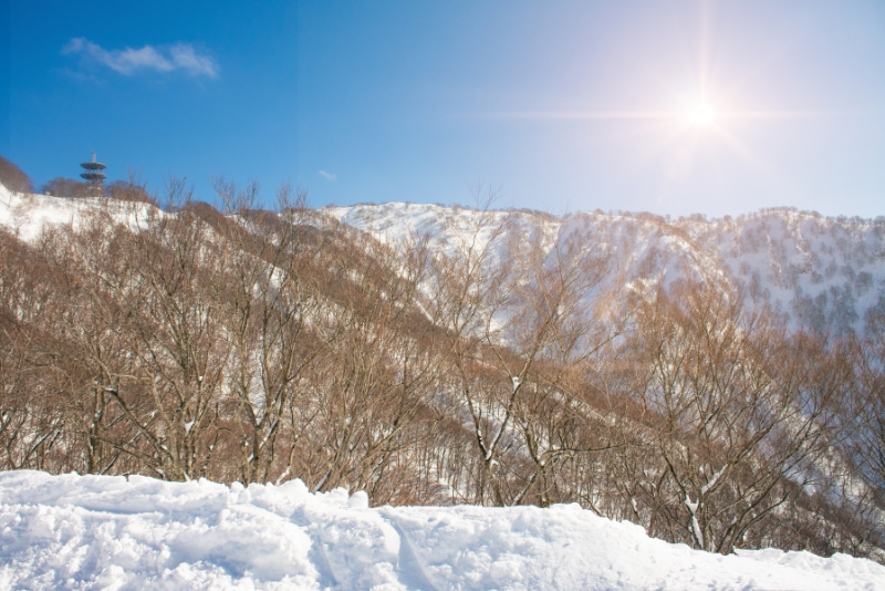 Off-Piste Skiing Japan - Nozawa Onsen (1)